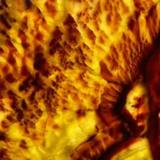 Оникс — Онікс Onix Lava 20 мм (полір.)